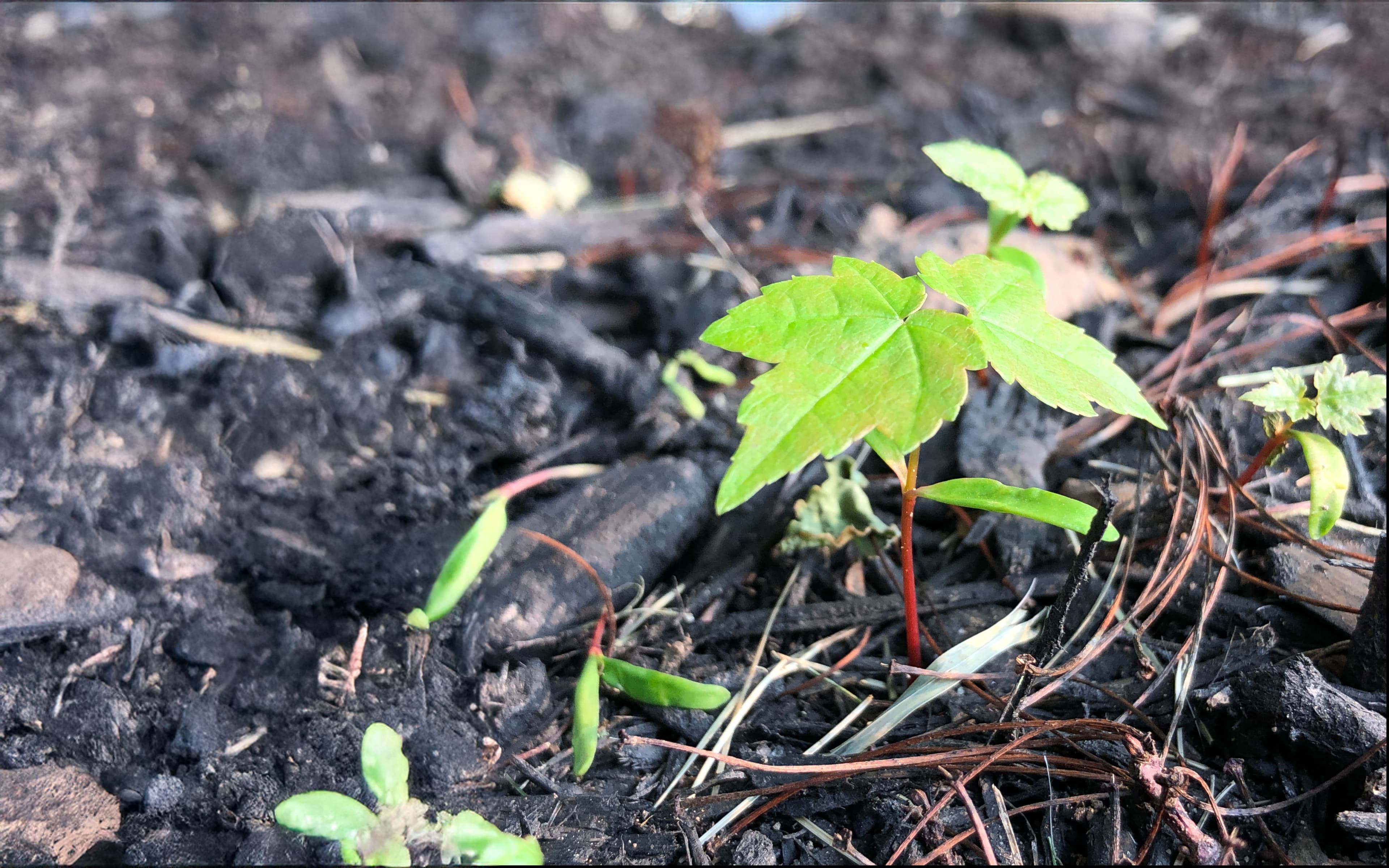 2026 WRCC Technology and Innovation Gathering